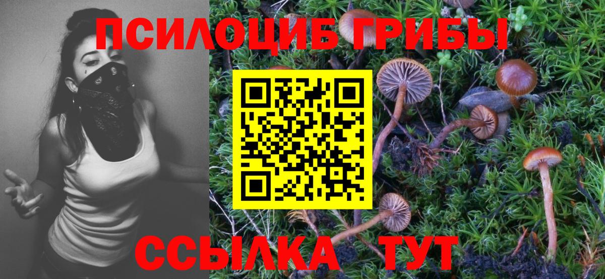 Псилоцибиновые грибы Cubensis Ульяновск
