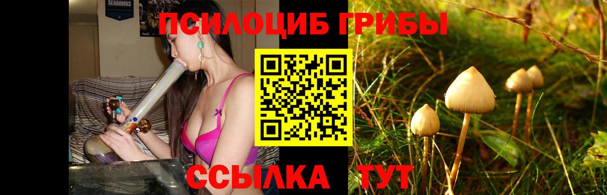 Псилоцибиновые грибы MAGIC MUSHROOMS  Галлюциногенные грибы мухоморы  Ульяновск  Вход с VPN 